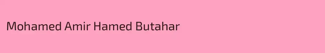 Mohamed Amir Hamed Butahar